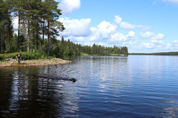 Boy watching dog swim in a lake in Finland
