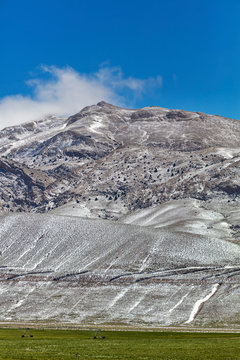 Alborz Mountains, Tehran Province, Iran