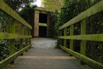 Wooden bridge leads the way to wooden bird hide hut