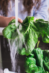 washin spinach
