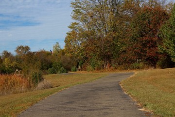 The long winding pathway in the park on a sunny day.