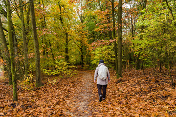 Fototapeta premium Elderly female walking through beautiful autumn colors in the forest