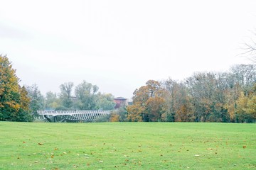 autumn in the park, University of Limerick, Ireland