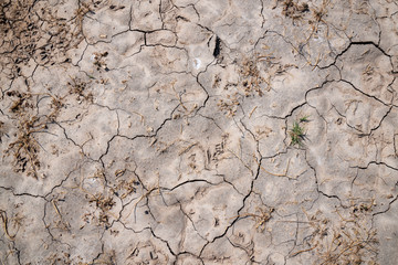 desert dried and cracked ground. Erosion earth background. Cracked dry wall surface. White natural cracked texture deşer 