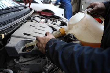 oil change in a car, a mechanic pours oil into an engine