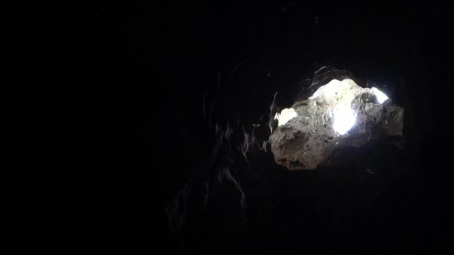 Slow motion flying bat hunting with the sun rays inside the beautiful natural limestone cave in Malaysia. Small bats fly with sunny beam light through hole in Dark Cave, located in Batu caves hill-Dan