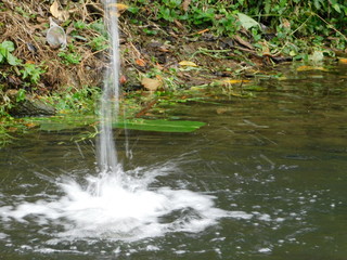 water#2