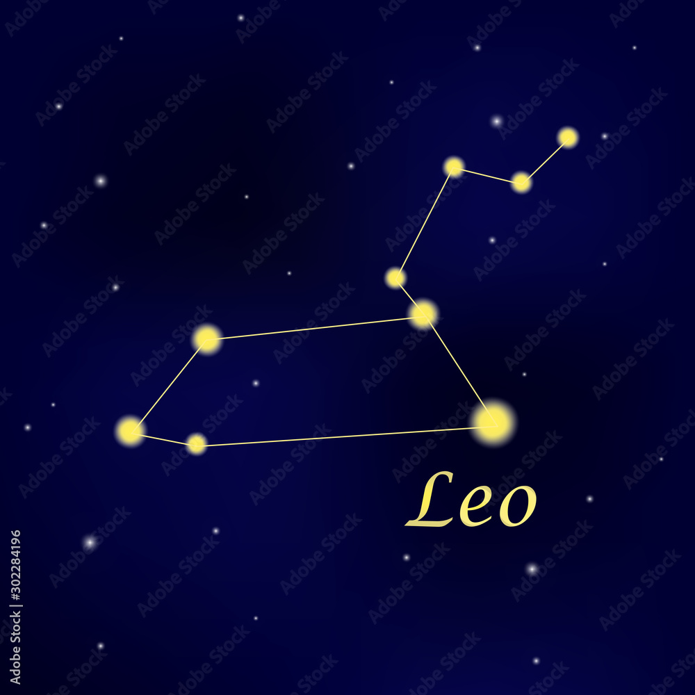 Wall mural pattern with constellation leo. abstract print with the lion.