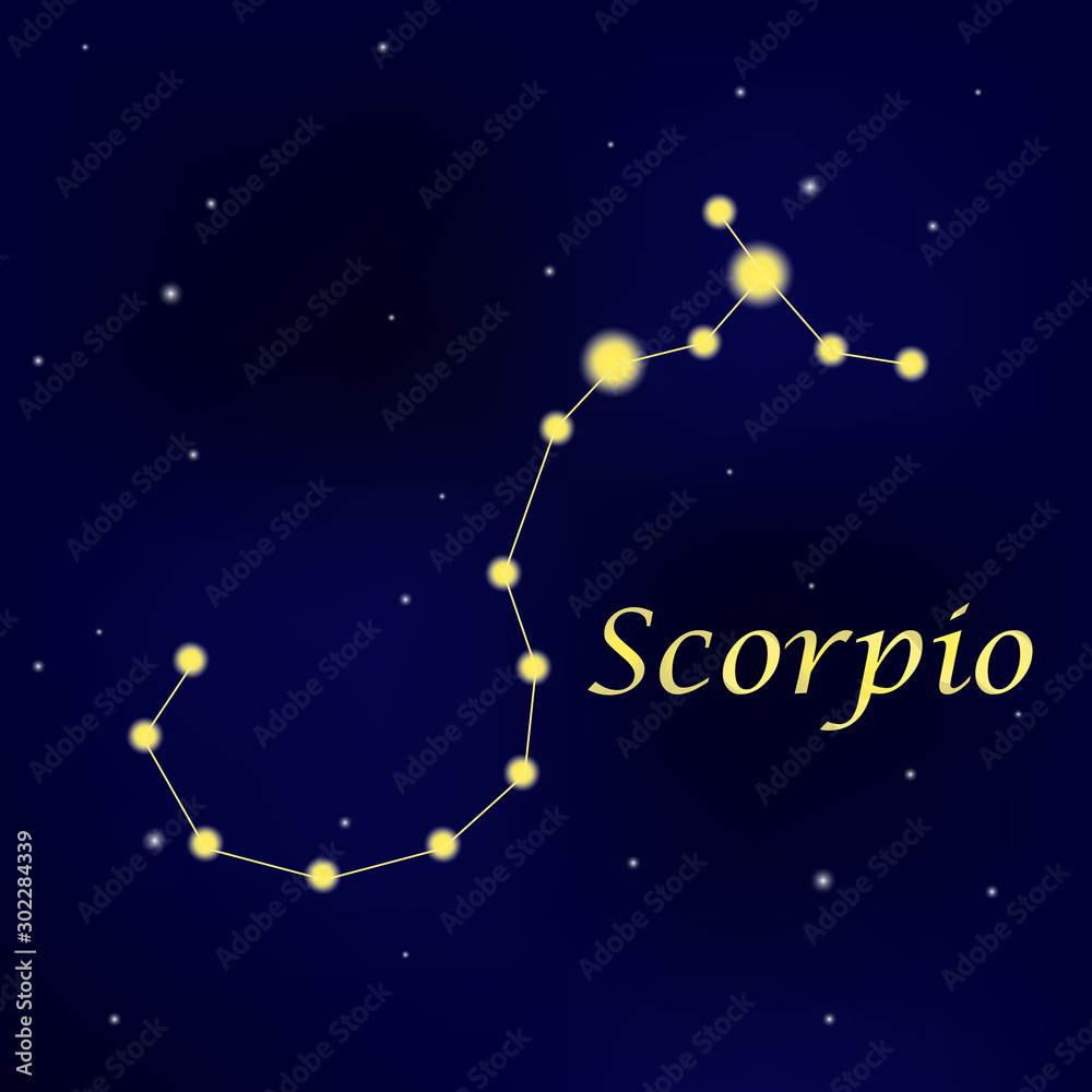 Wall mural pattern with constellation scorpio. abstract print with the scorpion.