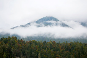 Landscape around Kranjska gora, Slovenia