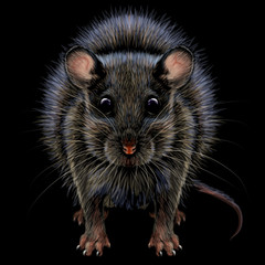  Mouse. Realistic, artistic, graphic, color portrait of a mouse on a black background.