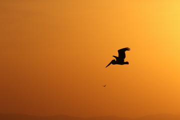 smoky sunset