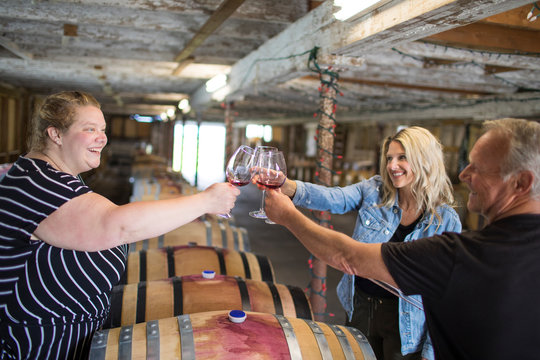 Three wine tasters toast with a cheers at a local vineyard.