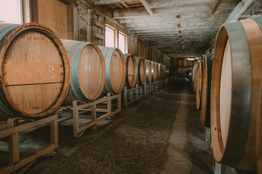 Two rows of wine barrels in an old barn turned wine cellar