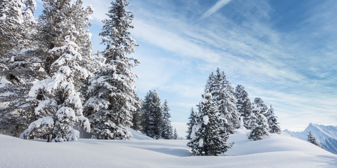 Obraz premium Winterlandschaft im Skigebiet Mayrhofen im Zillertal in Tirol als Panorama