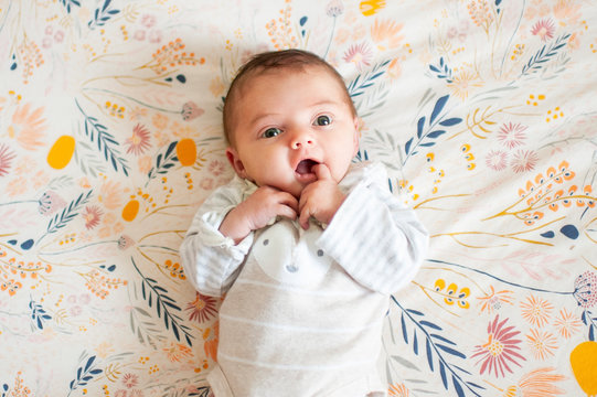 Fototapeta Newborn baby girl looking up with cute expression with finger in mouth