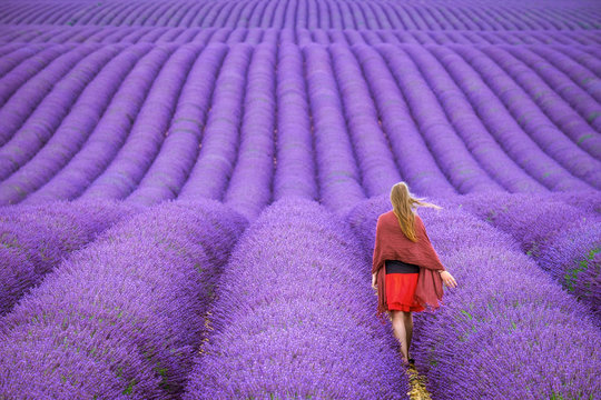 A young woman standing alone between rows of purple lavender in bloom in a field on the Plateau de Valensole