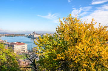 Amazing cityscape of Budapest, Hungary with autumn tree in the foreground. Hungarian Parliament Building, Orszaghaz, in the background on the other side of the Danube river. Beautiful cities