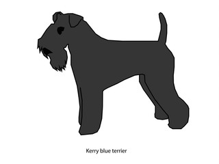 Dog black vector illustration isolated