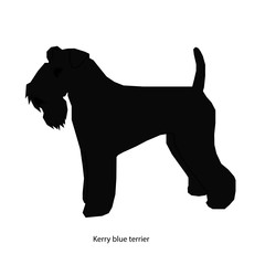 Dog black vector illustration isolated