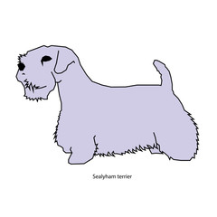 A dog vector illustration isolated
