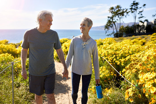 Smiling senior couple holding hands while walking on trail amidst plants on cliff by sea against sky during sunny day