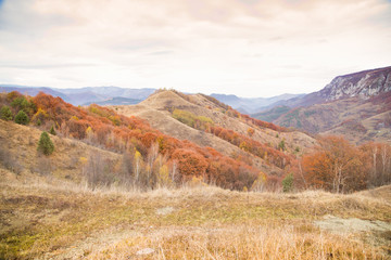 Autumn golden colors mountain landscape