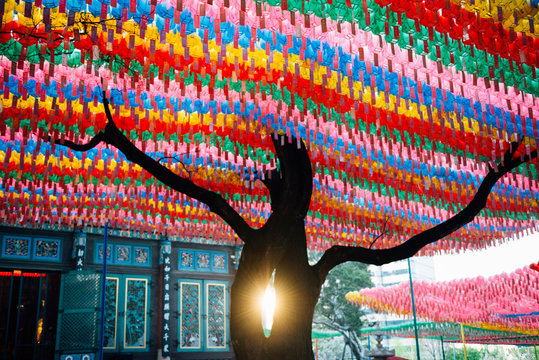 Jogyesa Temple decorated with paper lanterns at sunset, Seoul, South Korea
