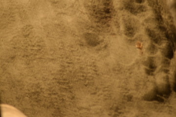grunge paper background with space for text or image