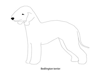 A dog vector illustration isolated