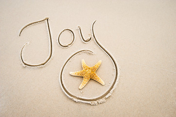 Handwritten holiday message of Joy in clean sand with a textured orange starfish on the beach