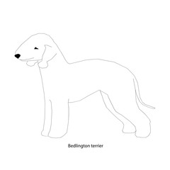 A dog vector illustration isolated