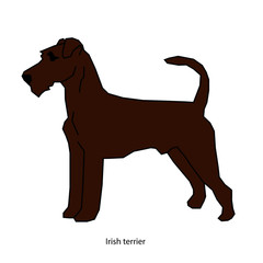 A dog vector illustration isolated