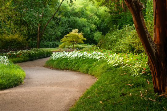 Dallas Arboretum Path