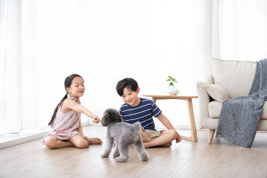 Happy Chinese sibling playing with dog in living room