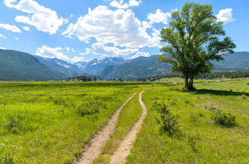 Moraine Park - A sunny Spring day view of a hiking trail extending towards snow-capped mountain range in Moraine Park, Rocky Mountain National Park, Colorado, USA.