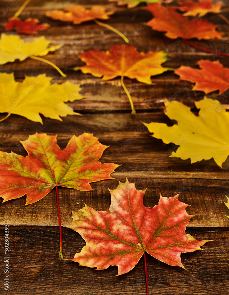 Wall mural autumn maple leaves background on on horizontal arranged boards. top view wooden table vertical fram