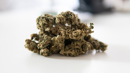 Big cannabis medical buds in mans hands close-up. Medical marijuana in our days.