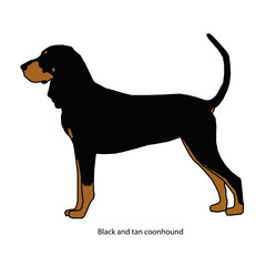 A dog vector illustration isolated