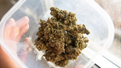 Explore cannabis strains with a new perspective. Cannabinoid and terpene profile, Terpenes in...
