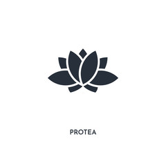protea icon. simple element illustration. isolated trendy filled protea icon on white background. can be used for web, mobile, ui.