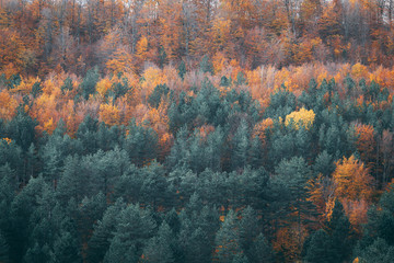 View of yellow, orange and evergreen autumn forest on the hills