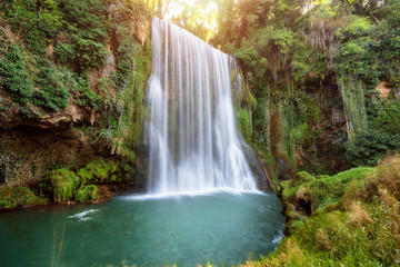 Water falling from rocky cliff at green vibrant forest with moss and grass
