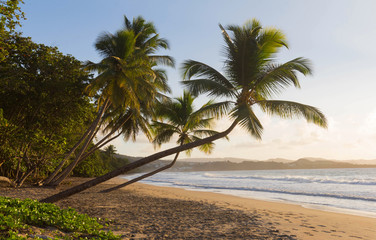 Fototapeta na wymiar The Caribbean beach , Martinique island.