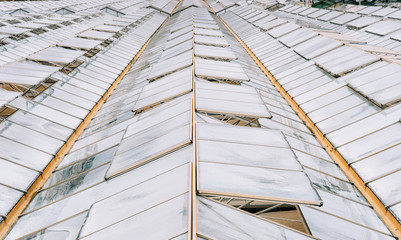 Glass greenhouse roofs in overcast weather