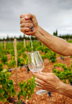 Crop man squeezing ripe grape in glass at vineyard on blurred background