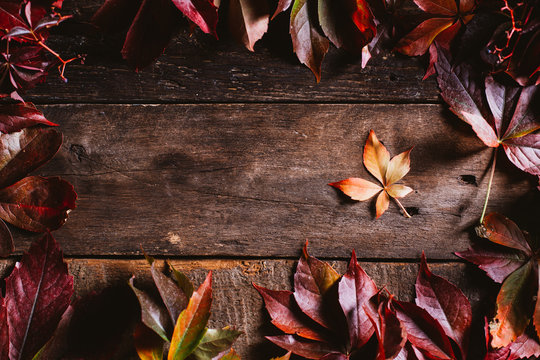 From above wooden surface with bright red orange yellow autumn leaves