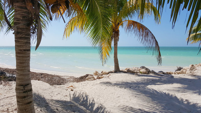 T&uuml;rkisblaues Meer vor Isla Holbox