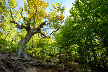 Crimea photo landscape and travel