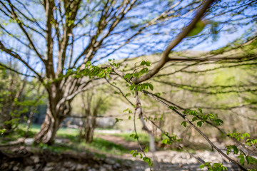 Crimea photo landscape and travel
